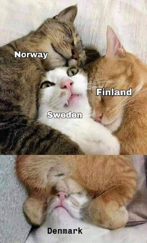 Three cat’s faces all smooshed together to represent Norway, Sweden and Finland. And then there is a pic of a cat’s ass on Sweden’s head and it represents Denmark