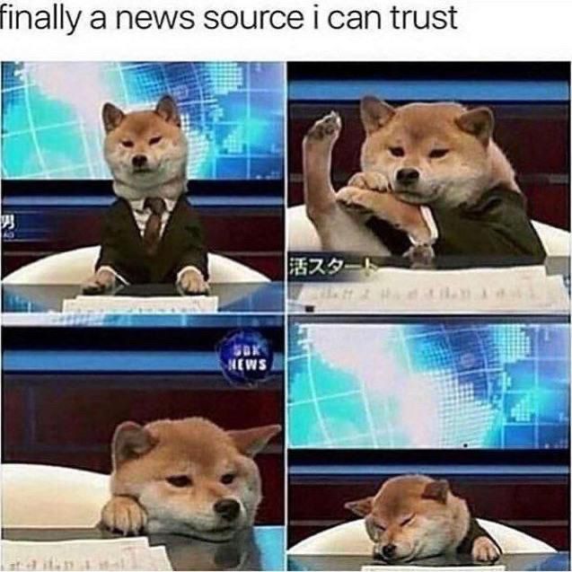 A Shiba Inu in a suit and tie sitting at a news desk doing weird stuff including sleeping and putting one leg up on the counter and it says “finally a news source i can trust”