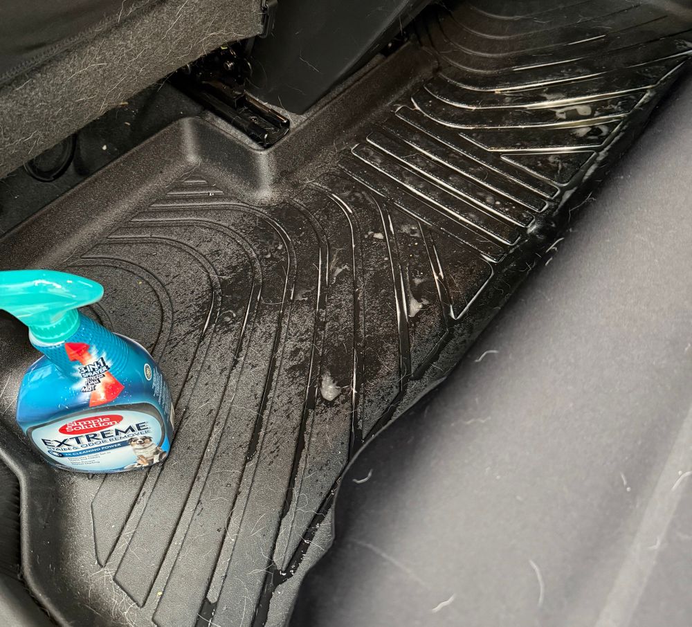This is a photo of me will not of me but of the floor of our car and I’m cleaning up with pet odor, extreme cleaner stuff because she had diarrhea all over the floor for the second time and threw up and I am living in hell just at the moment there are people who have been far worse and I am fully aware of that. And I knew this day would come that she would get old and she would need a lot more support and I would have to watch four signs of it being time which it’s not time yet but it’s approaching and that’s just a fact of life and it’s incredibly difficult for me