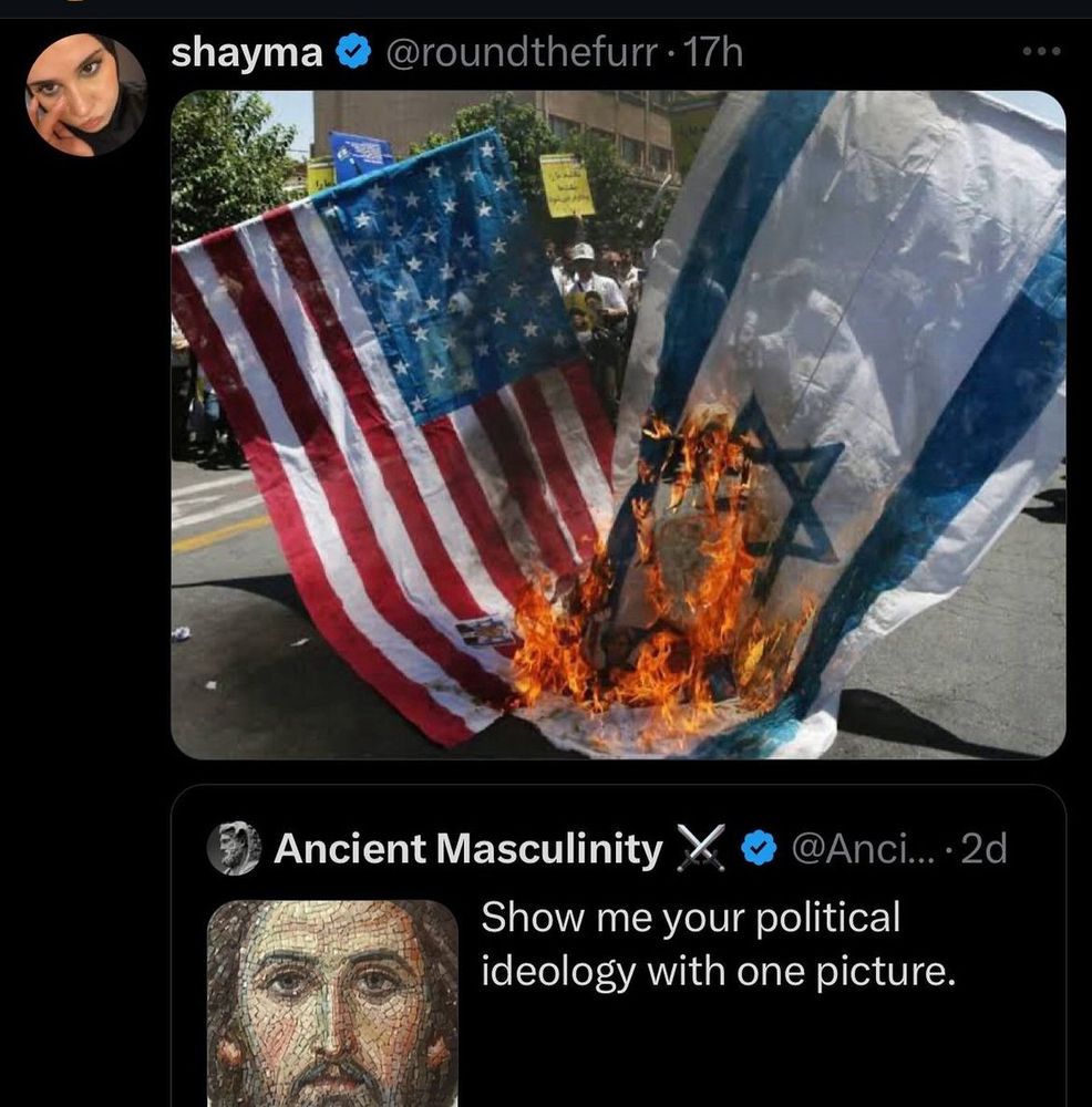 Twitter account @roundthefurr doing a  quote tweet to an account called “ancient masculinity” and the prompt says “show me your political ideology with one picture. 

And she shows the “Israeli and “American” flag burning