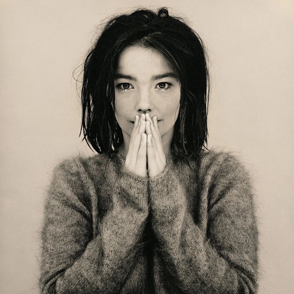 The cover of Bjork's "Debut " (1993)