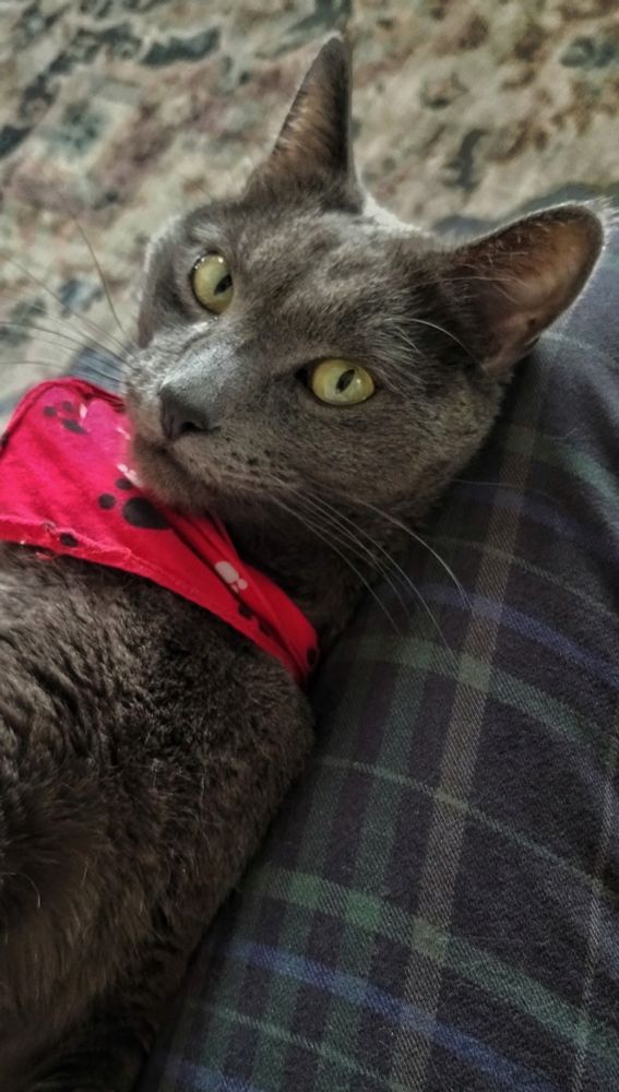 Aloysius! He's amazing!!!