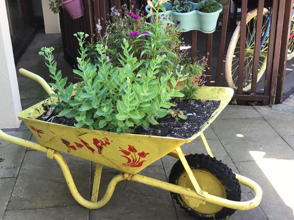 a yellow wheelbarrow with flowers in it