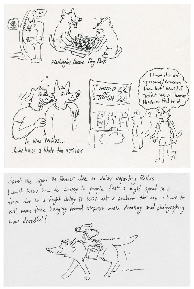 A scanned image of a sketchbook page with various drawings and written descriptions. A cutaway drawing of a wolf napping in the snug environment of an ERJ-145 regional jet. Two feral canines play chess above the written text “Washington Square Dog Park.” A drunk dog leans against a sober wolf, talking excitedly. Text below them reads “In Vino Veritas… Sometimes a little too veritas.” A wolf walks by a vendor in the Anthrocon dealer’s den with the banner “World of Trash” above the wares. The wolf thinks, “I know it’s an opossum/raccoon thing but “World of Trash” has a Thomas Hirschhorn feel to it.”

Drawing of a quadrupedal wolf wearing a harness which holds a video camera and video tape recorder. The camera is pointed forward in the direction of the wolf’s view. Text above it reads “Spent the night in Denver due to delay departing Dulles. I don’t know how to convey to people that a night spent in a town due to a flight delay is 100% not a problem for me. I have kill more time hanging around airports while doodling and photographing. How dreadful!”