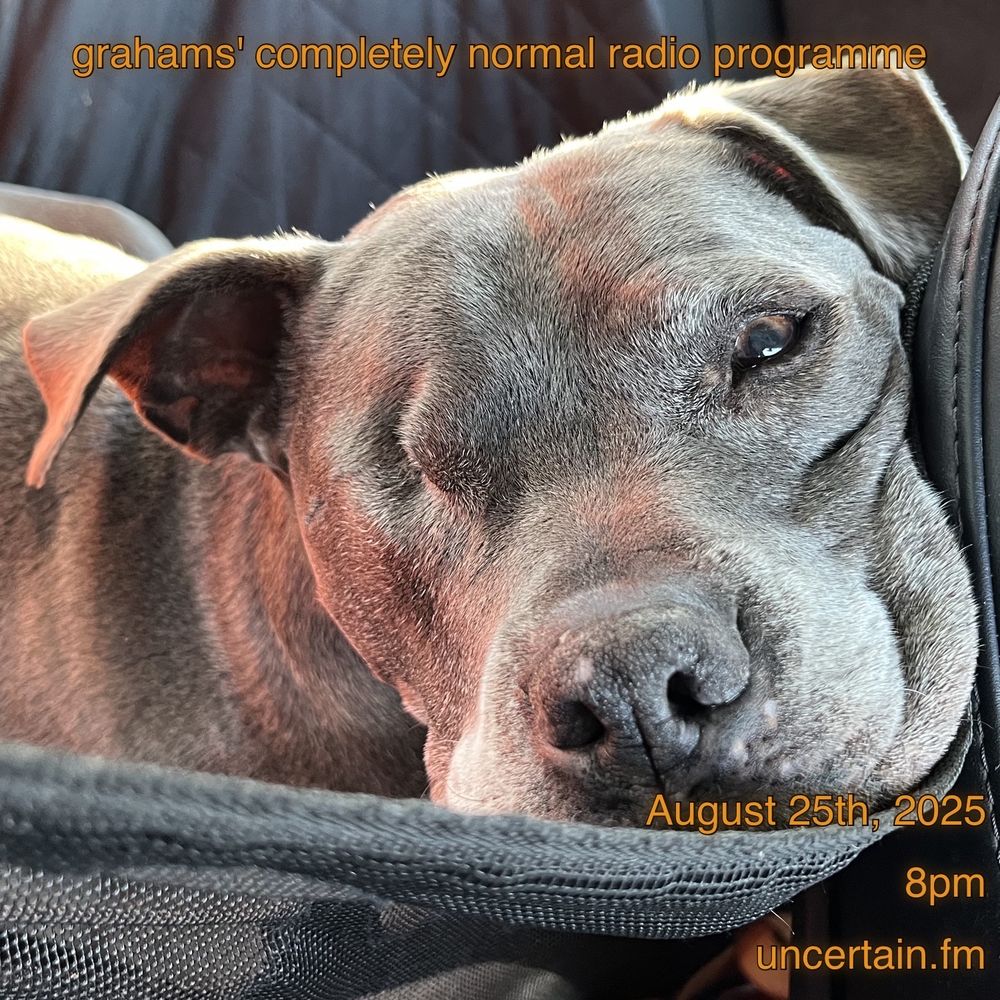 The smooshed face of our one-eyed pitbull mix Bertha on our road trip.

Orange text overlaid promoting a radio show, details in the main post.