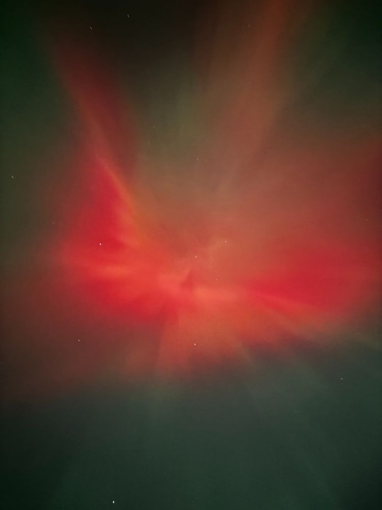 A bright red vertex of aurora with rays splaying out in all directions. It almost looks like a phoenix.