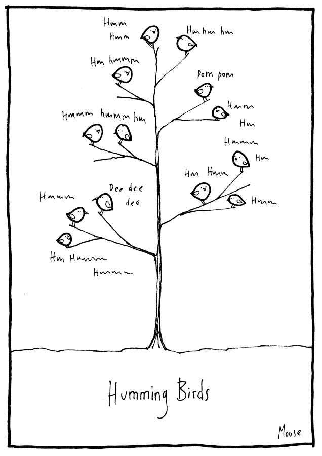 Cartoon of lots of little birds sitting in a tree saying Hmmm, Pom pom, Hmm hmm etc. Caption: Humming Birds