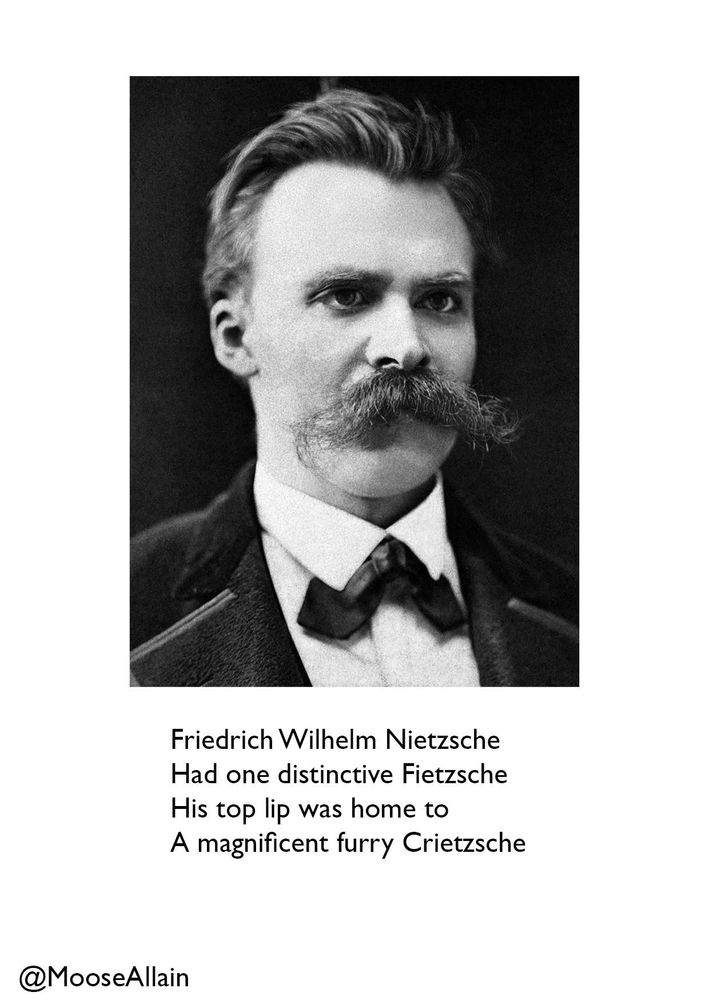 A photo of Nietzsche with his prominent moustache. Below this is a rhyme:

Friedrich Wilhelm Nietzsche
Had one distinctive Fietzsche
His top lip was home to 
A magnificent furry Crietzsche