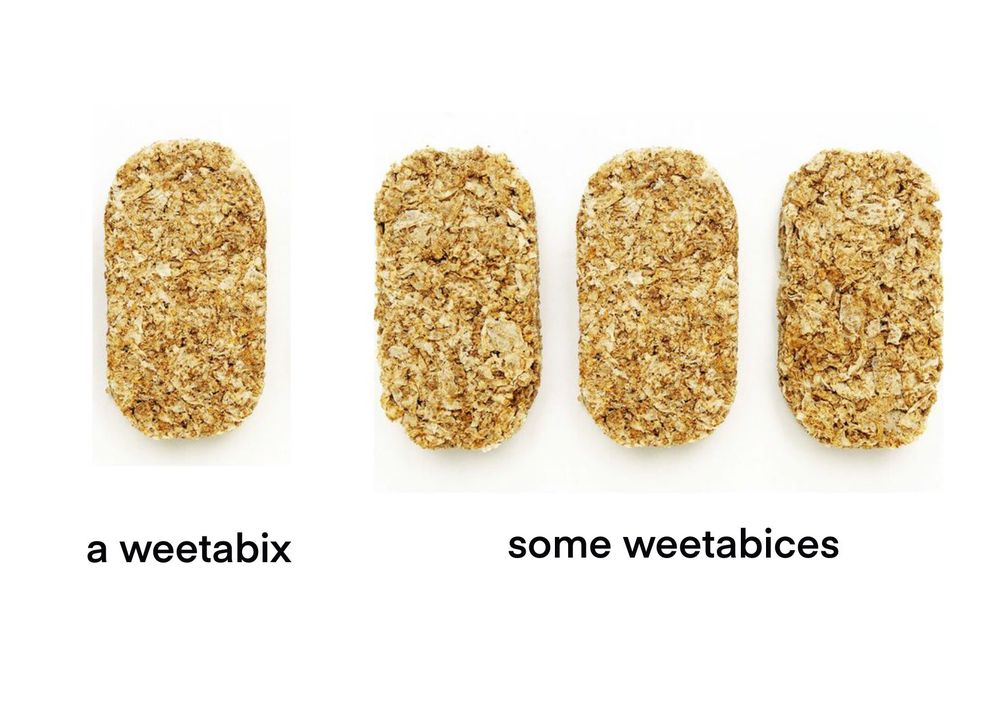 Photo of, on the left, a single weetabix, labelled ‘a weetabix’ and on the right three weetabixes, labelled ‘some weetabices’.