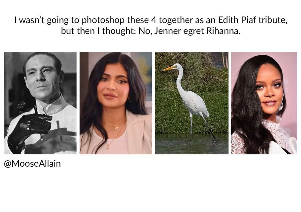 Four photos in a row, which are in turn: Dr No, Kyle Jenner, a little egret and Rihanna. The caption reads "I wasn’t going to photoshop these 4 together as an Edith Piaf tribute, but then I thought: No, Jenner egret Rihanna."