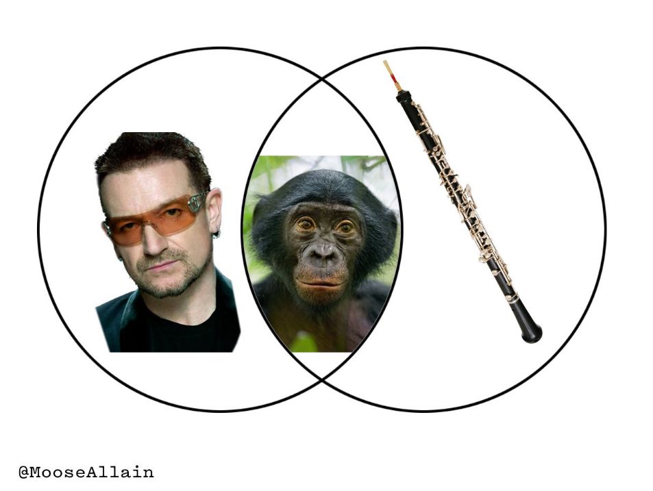 Venn diagram with Bono in the left circle, an oboe in the right, and a bonobo in the centre. 