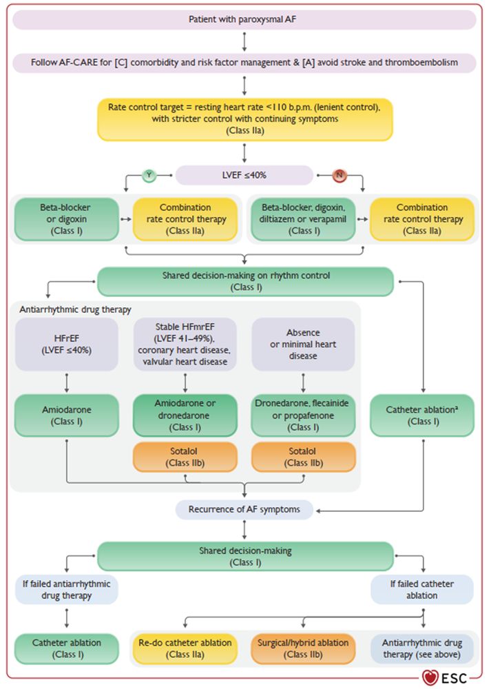 2024 ESC A fib guidelines on paroxysmal a fib