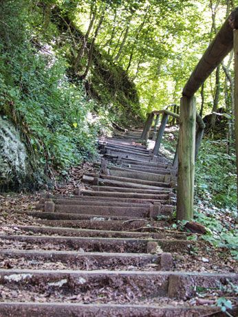 An einem begrünten Berghang führt eine Treppe mit Holztreppenstufen und einem Holzgeländer den Berg hinauf.