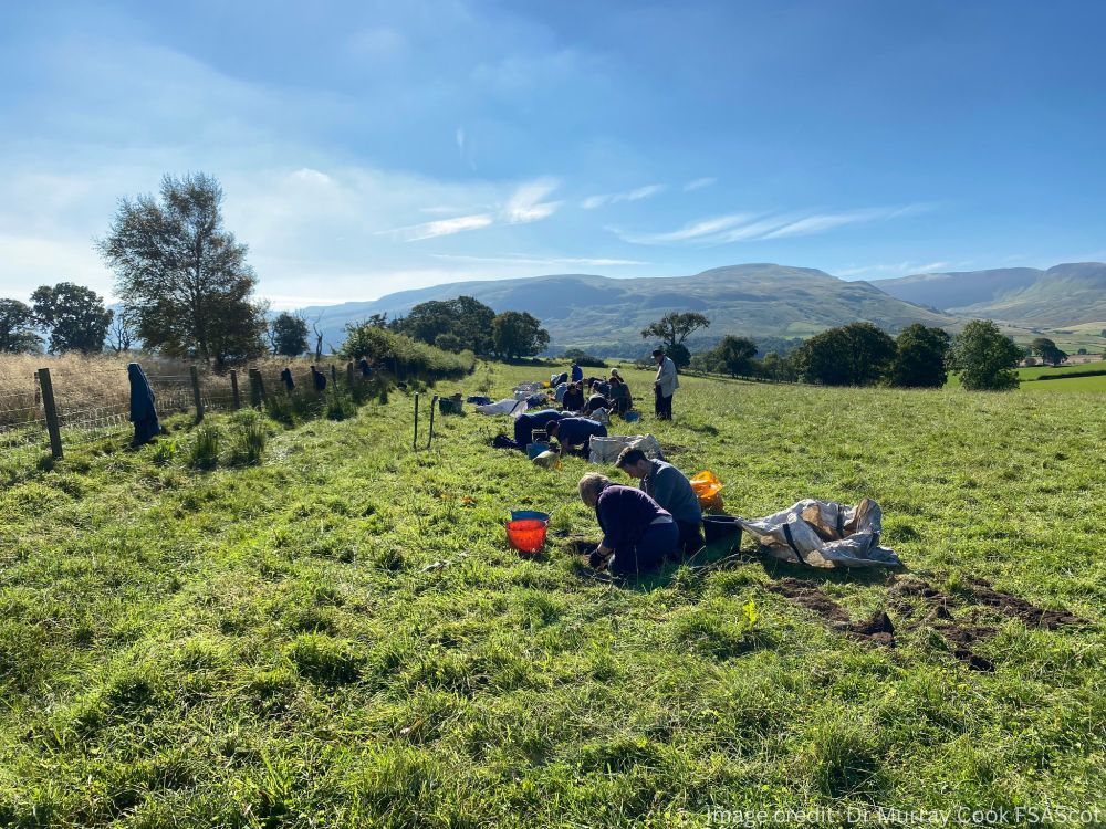 A row of people digging in a rural area on a sunny day  