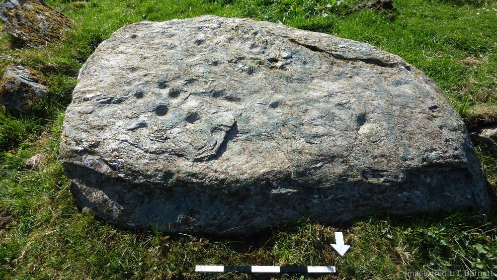 A large boulder with several shallow holes carved into it  