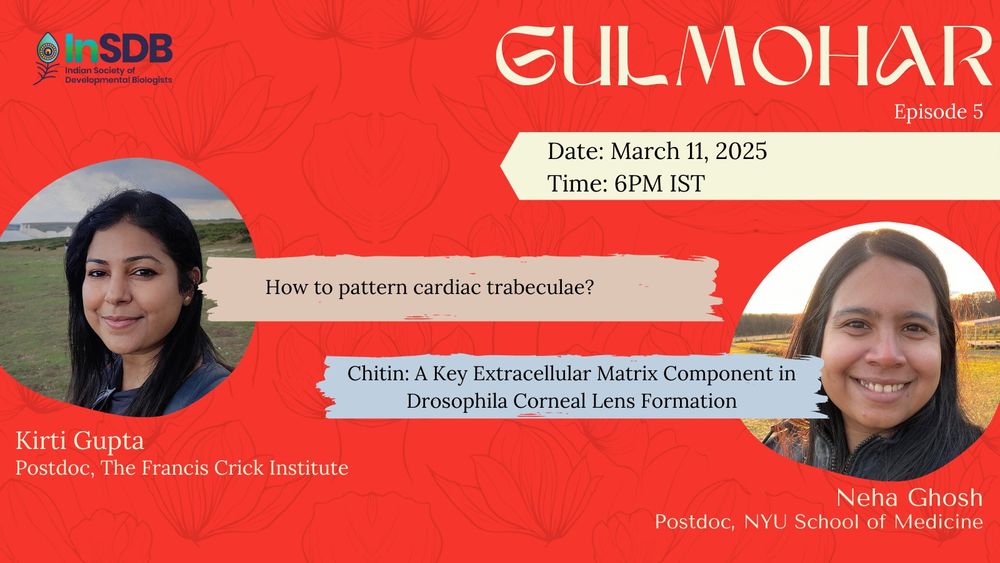The flyer for the Gulmohar Episode 5 event hosted by InSDB. The flyer features two speakers: Kirti Gupta and Neha Ghosh. The event is scheduled for March 11, 2025, at 6 PM IST. The design includes the InSDB logo and a bright red decorative background.