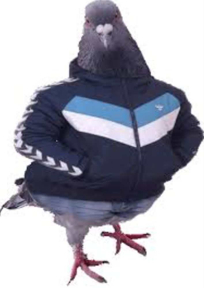 Comment image