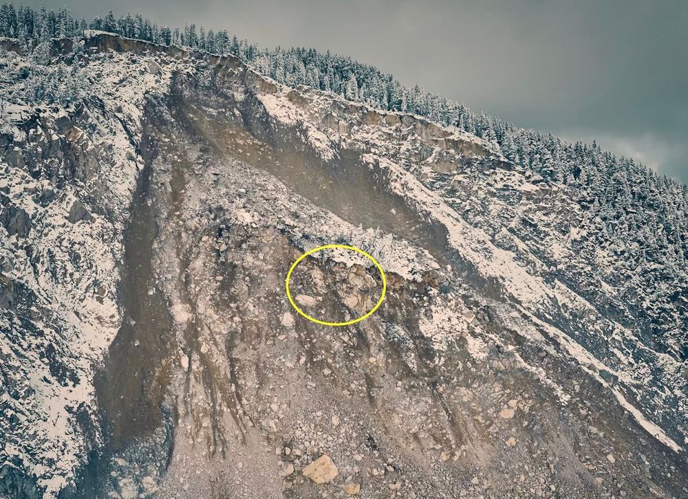 Das Foto zeigt einen verschneiten Steilhang mit einer grossen, frischen Schutt- und Abrissfläche. In der Mitte des Bildes ist ein gelber Kreis eingezeichnet, der mehrere grosse, helle Felsblöcke in einem verwitterten und teilweise verschneiten Bereich markiert. Oberhalb verläuft eine Baumreihe aus verschneiten Nadelbäumen entlang der Hangkante. Der Himmel ist grau bewölkt.