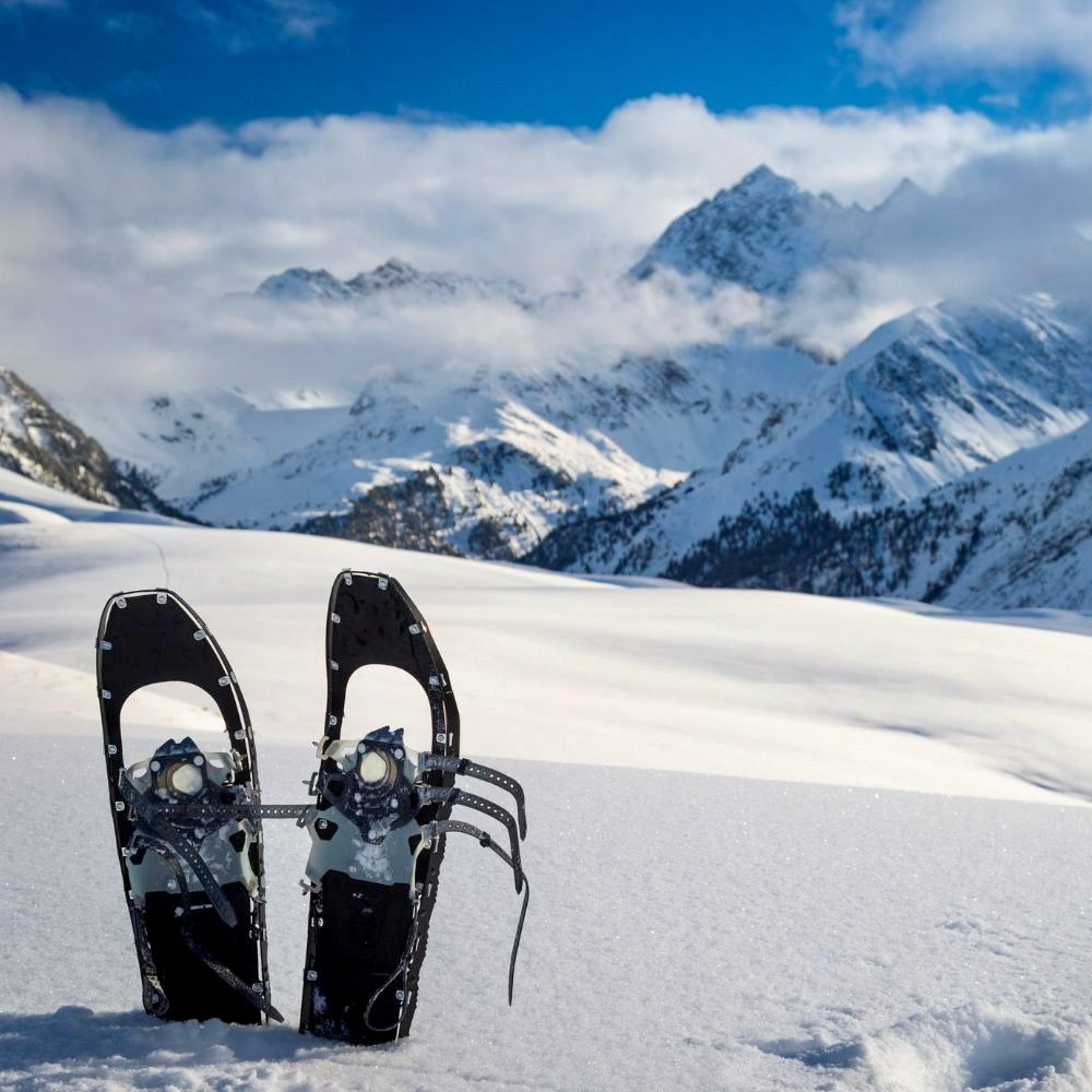 Zwei schwarze Schneeschuhe stehen aufrecht im frischen Pulverschnee. Dahinter erstreckt sich eine weite Winterlandschaft mit verschneiten Hängen, dunklen Nadelwäldern und markanten Gipfeln. Über den Bergen ziehen einzelne Wolken, darüber ein klarer blauer Himmel.