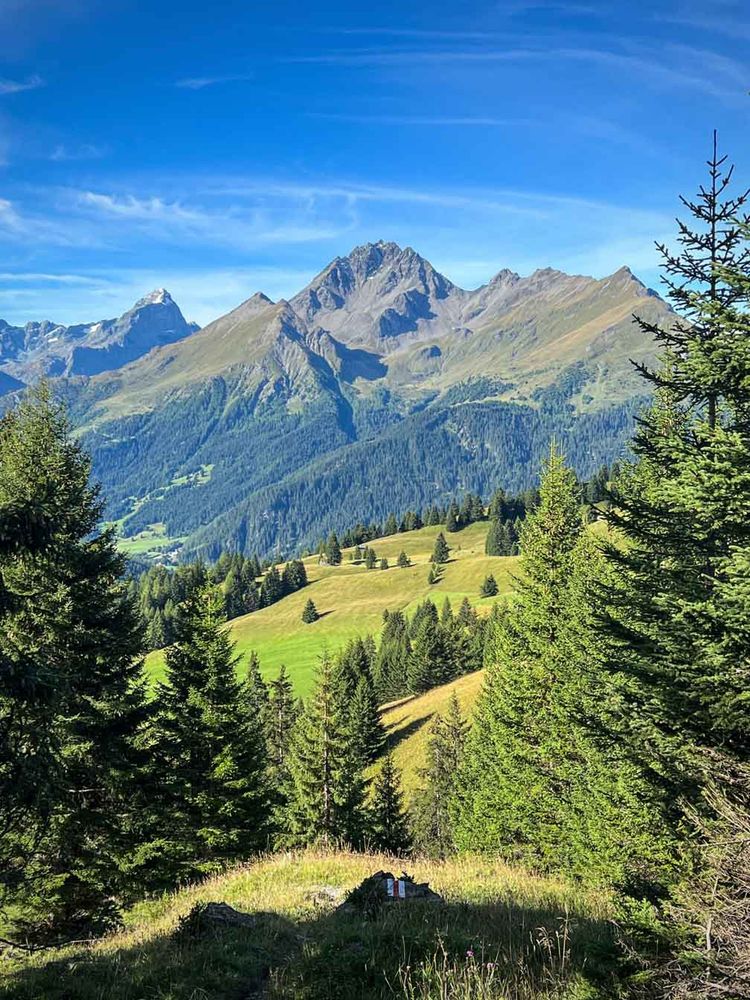 Aussicht auf ein breites, grünes Hochtal mit verstreuten Nadelbäumen und offenen Wiesen. Im Hintergrund ragt der dunkle, gezackte Piz Arblatsch markant über die umliegenden Berge hinaus. Der Himmel ist tiefblau mit leichten Schleierwolken.