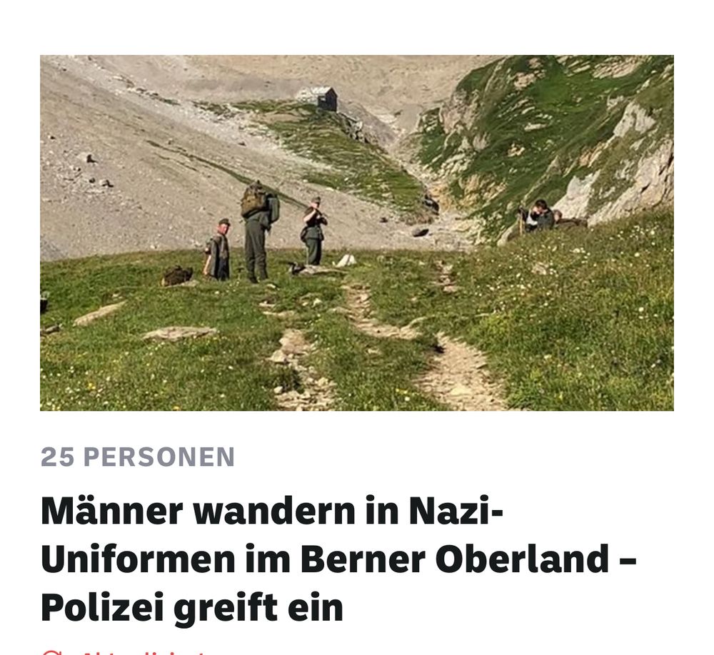 Screenshot eines Nachrichtenartikels mit einem Foto von Männern in Nazi-Uniformen auf einer Alpweide im Berner Oberland. Darunter die Schlagzeile: «Männer wandern in Nazi-Uniformen im Berner Oberland – Polizei greift ein