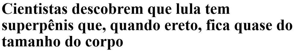 Cientistas descobrem que lula tem superpênis que, quando ereto, fica quase do tamanho do corpo