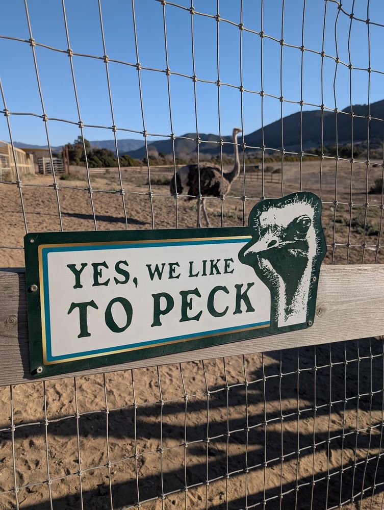 A sign on a fence at Ostrichland USA that says "Yes, we like to peck"