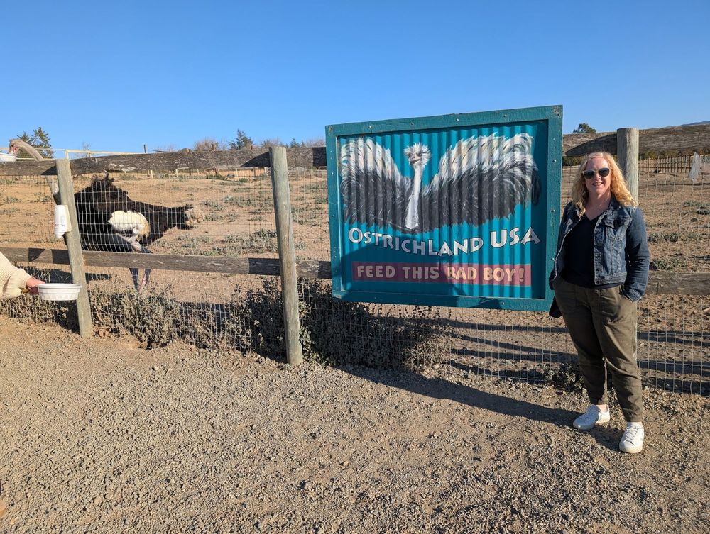 Sign at Ostrichland USA showing a painting of an ostrich with outspread wings and the caption "FEED THIS BAD BOY"