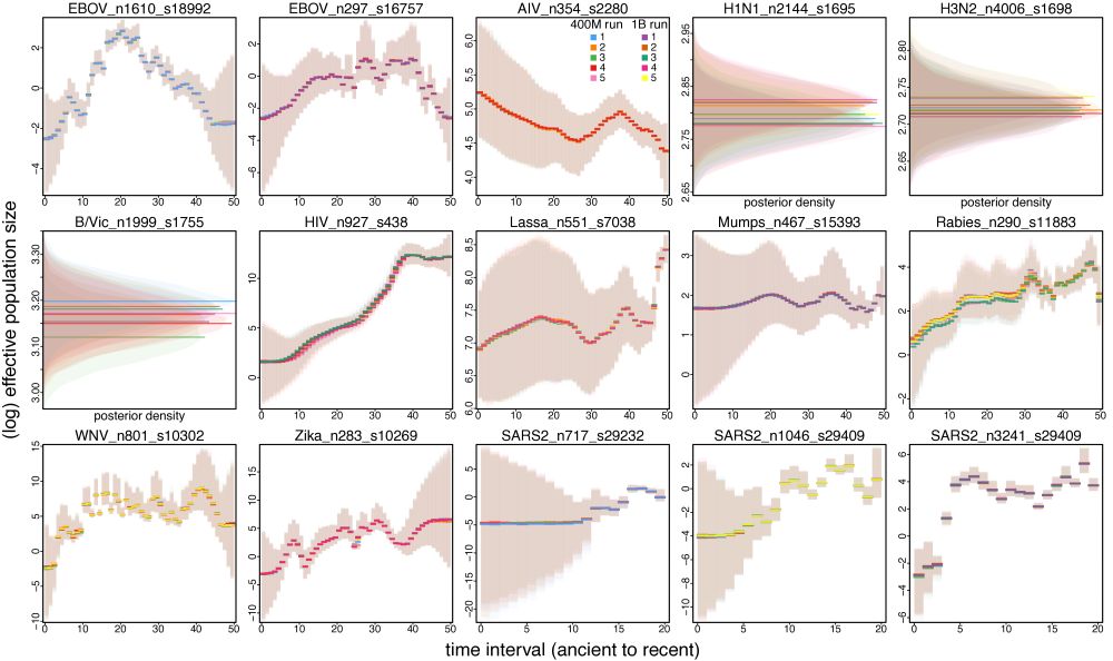 Impact of the tree sampling problems tends to be negligible on some global parameters (e.g., the effective population size through time).
