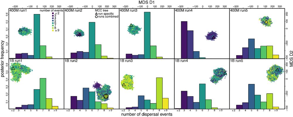 Distinct peaks in tree space can lead to different biological conclusions.