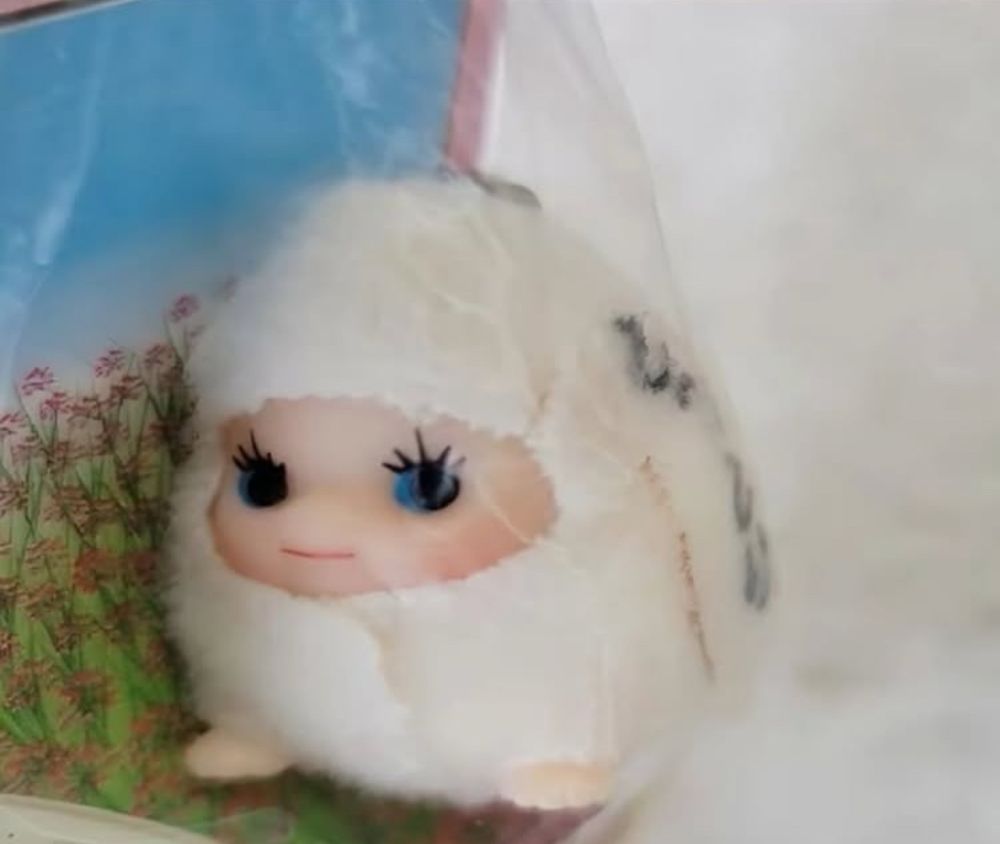 a fuzzy little cutie with falsies. she looks content, as well as satisfied.