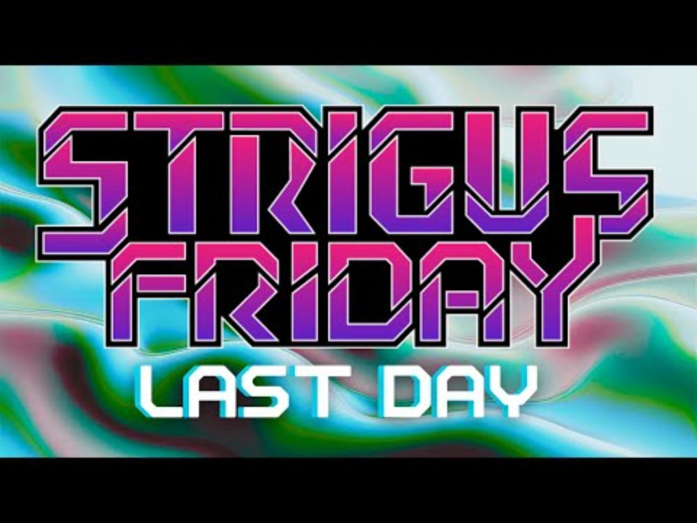 Última live da Strigus e criando um roadmap para a sua carreira!