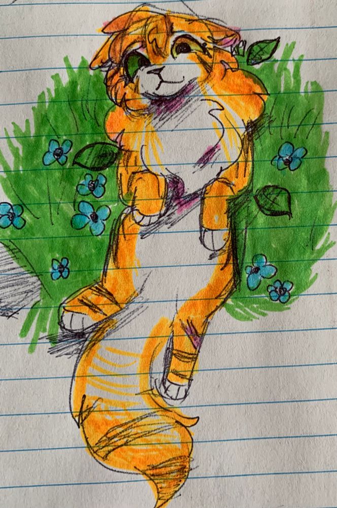 an red cat, laying on her back. she appears to have a slightly nervous expression. there is a scar on her hind leg.