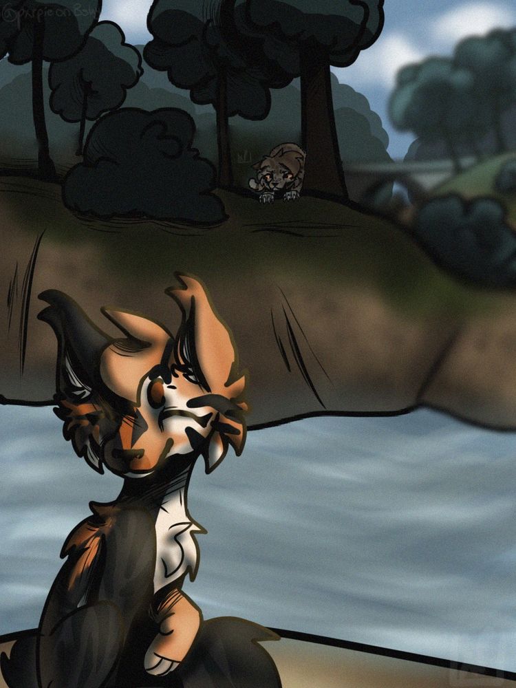 a cat stalking another cat, basking in the sun nearby a rushing river.