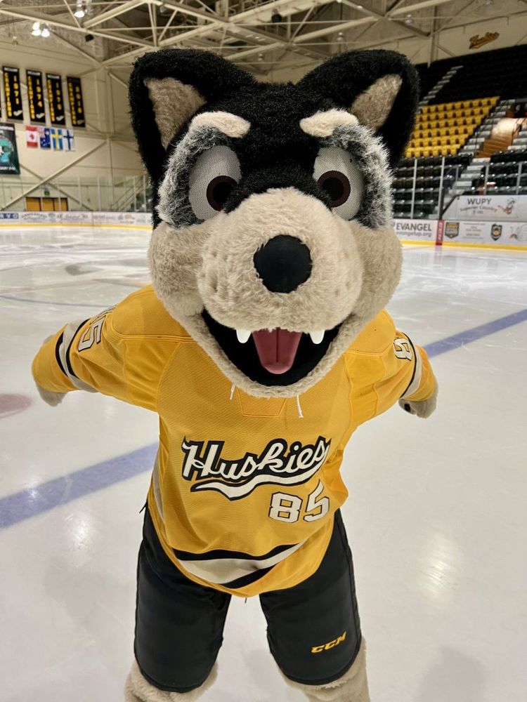 Michigan Tech University's mascot: Anthro Siberian husky (black, gray, white, like the dog breed) wearing an MTU hockey jersey, on the ice at MTU's hockey arena. Credit: By CelestialQibli - Own work, CC BY-SA 4.0, https://commons.wikimedia.org/w/index.php?curid=148363635