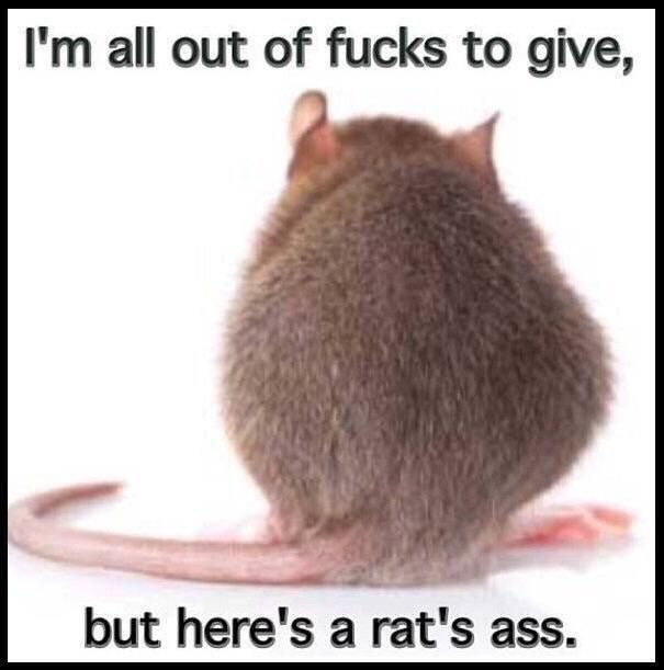 Comment image