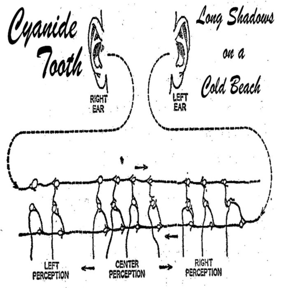 Long Shadows on a Cold Beach, by CYANIDE TOOTH