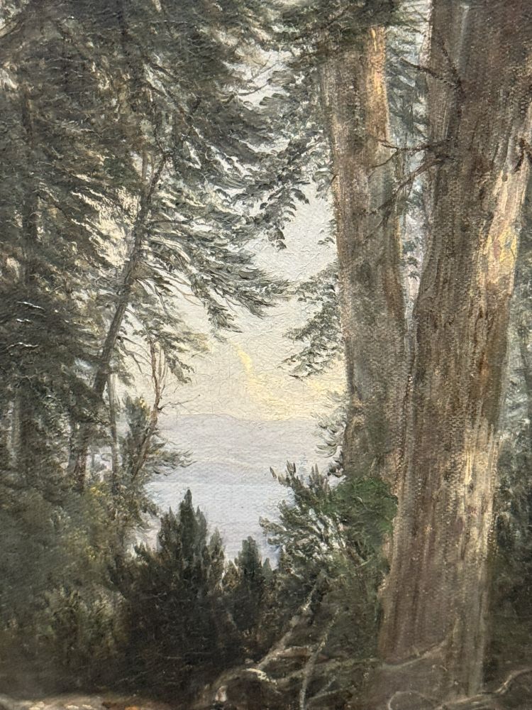 Detail of the sky, mountain, and river visible at the far opening through the forest like a tunnel