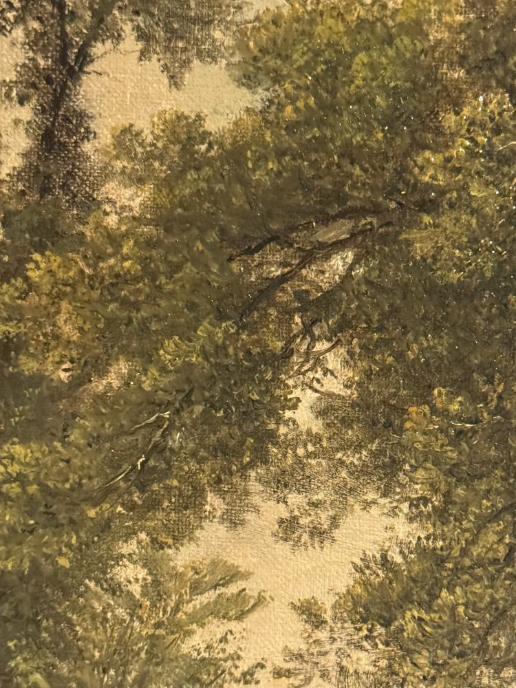 Detail of tree branches and leaves with sky in the background.