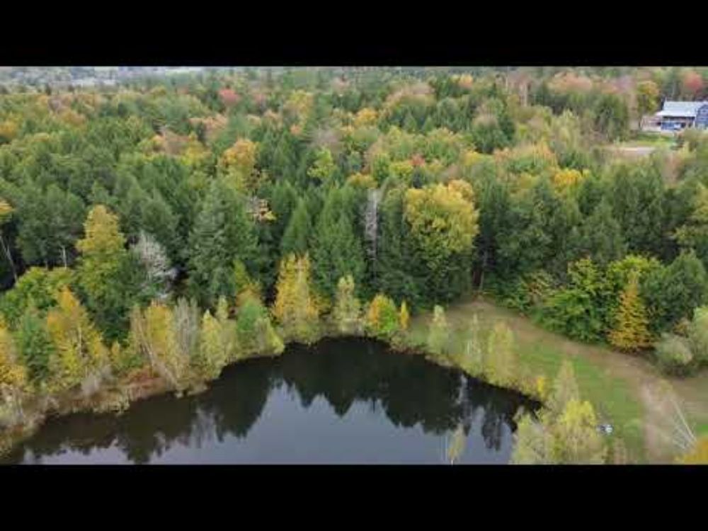 Vermont Fall Foliage 10 1 24