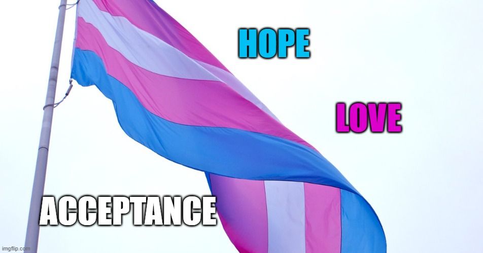 Comment image