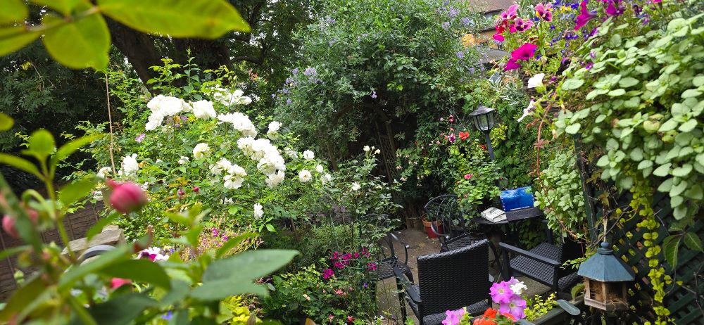 Small florished garden 