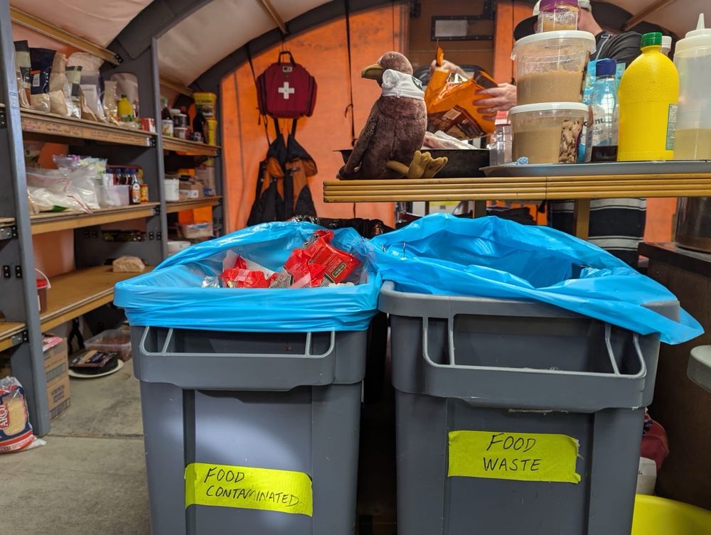 In the Mess tent, Skua does what skuas do, eyes on the prize—food scraps! (Skua stuffie sitting by the food waste bins.)