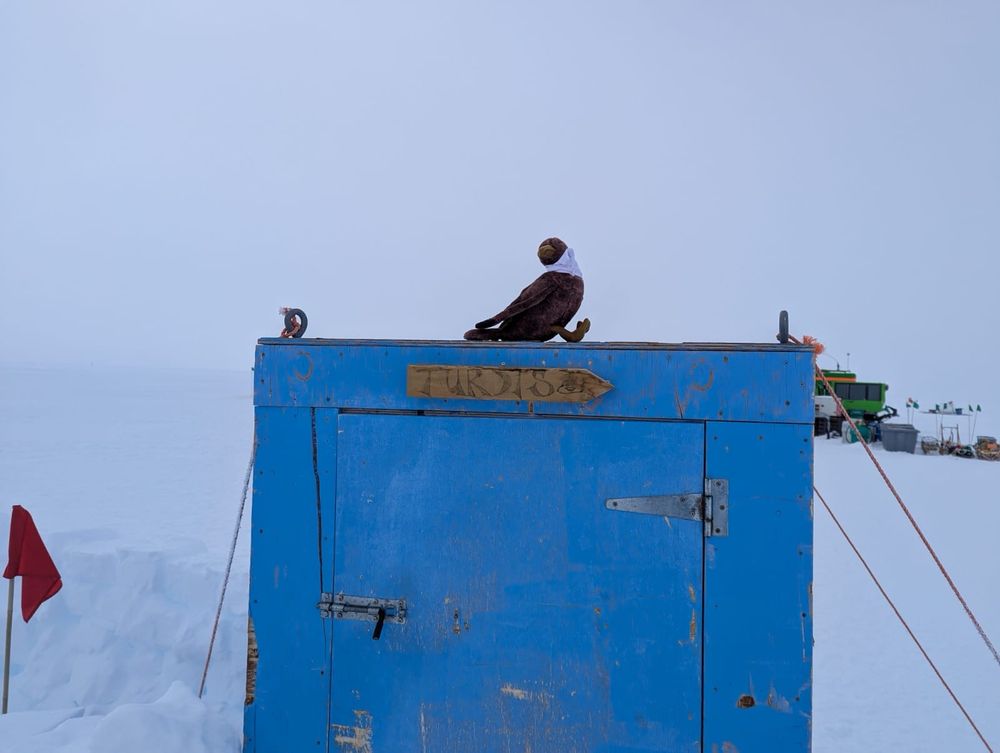 Then it’s off to check out “The Turdis”—one of our two toilets. (Skua stuffie sitting on top of the blue outhouse called the Turdis.)