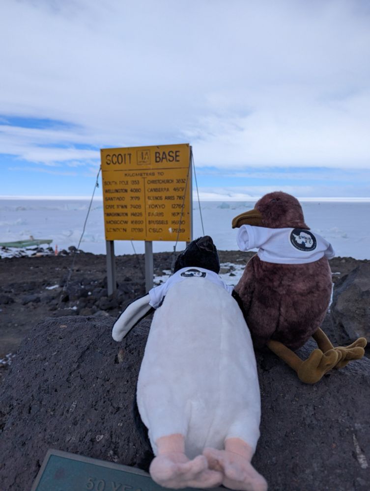 Mascots "chilling" in front of the Scott Base sign, in their (askew) SWAIS2C shirts.