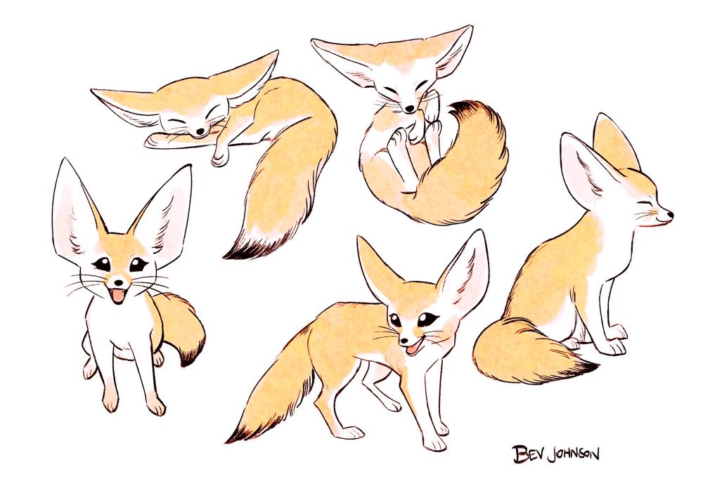 digital art: a collage of fennec foxes in various poses 