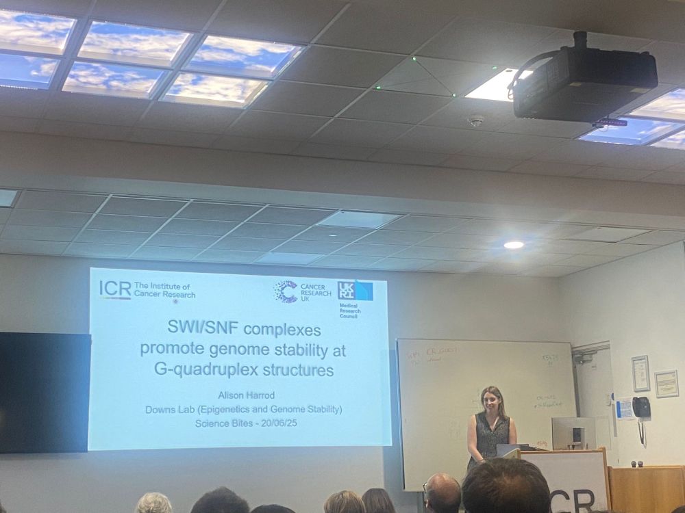 photo of Alison giving a seminar