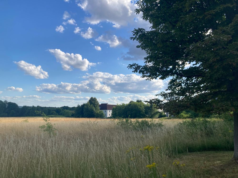 Small clouds on the blue sky across a field with a view of TU Dortmund student accommodation 