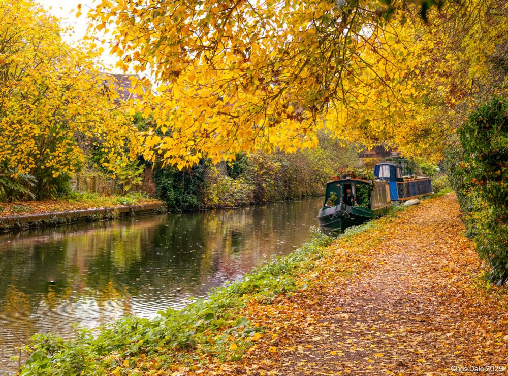 A canal with yellow leaves on the trees and on the towpath. Two canal boats are tied up at the right of the scene