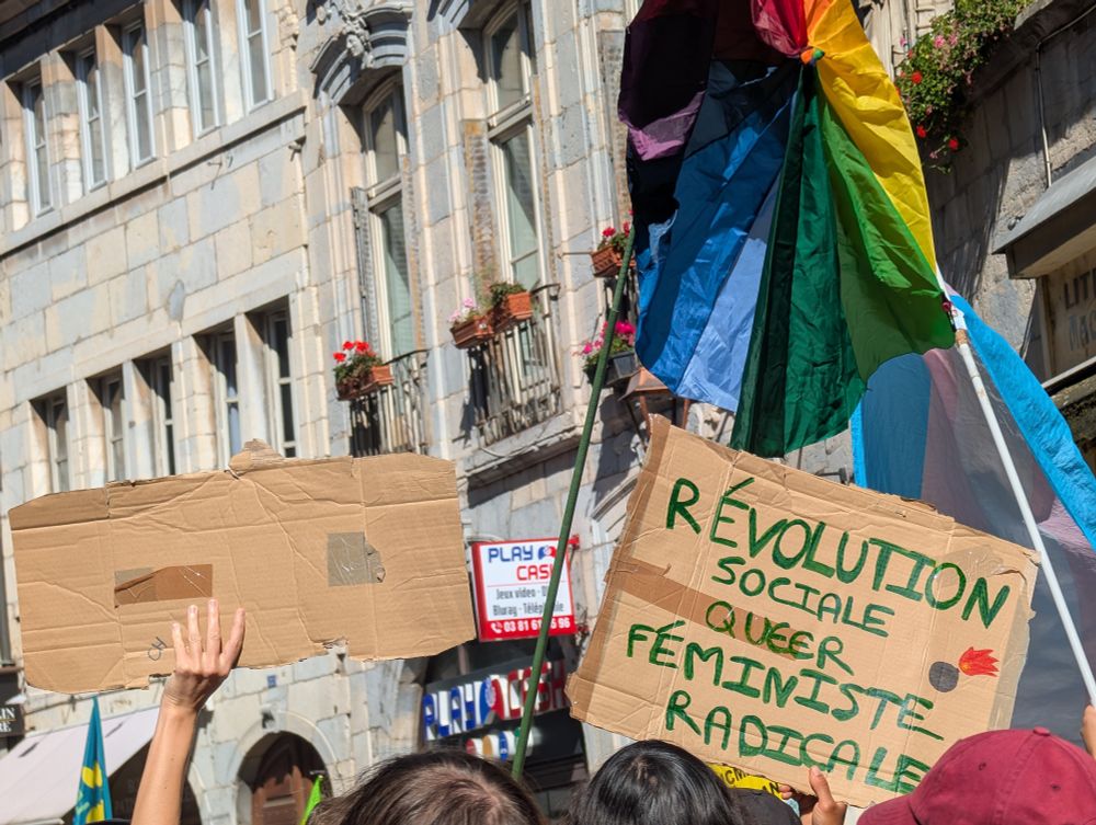 Photo de la manif où l'on voit le rainbow flag et une pancarte "révolution sociale queer féministe radicale"